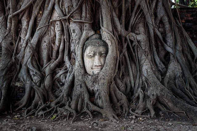 【画像】タイの寺がもはやテーマパーク →「蛇の道にしか見えない」「また行きたくなっちゃう！」
